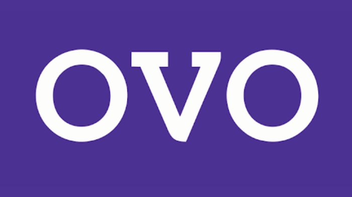 印尼OVO注册开户+Premier升级+入金【2025.11更新：支持中国护照】-海外云居民